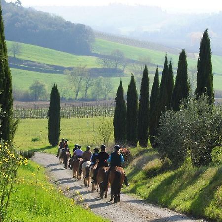 Castello Di Fulignano Isalfredo Ground Floor Apartment San Gimignano Zewnętrze zdjęcie